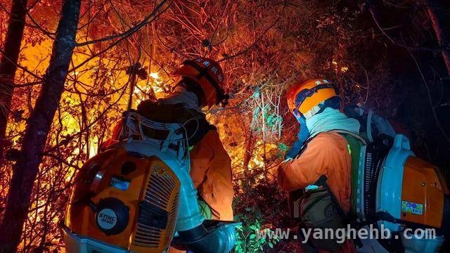 昆明森林消防支队一季度野外驻训期间成功扑灭晋宁森林火灾，昆明森林消防支队紧急出击，高效扑灭晋宁森林火灾