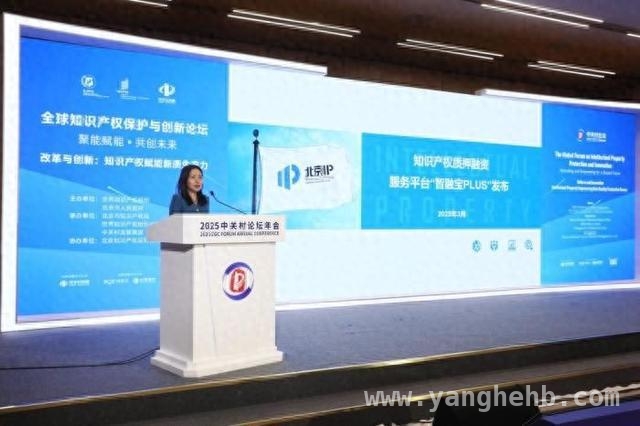 中关村论坛知识产权盛会：共商改革创新，助力科技发展，“全球知识产权保护与创新论坛”成功举办，北京IP成果亮眼