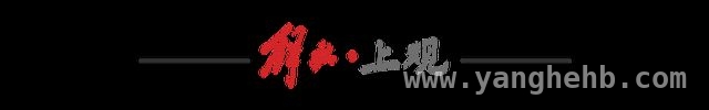 沪上警校携手，为特定群体心理健康保驾护航 “申边心灵驿站”：上海边检与高校的心理健康新实践