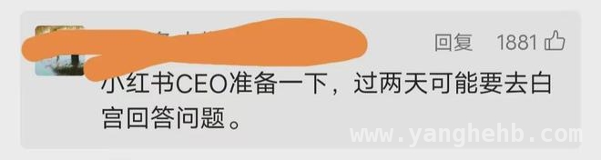 中美家庭小红书相遇，网络社交开启新篇，从小红书看中美普通人生活，差异与共鸣并存