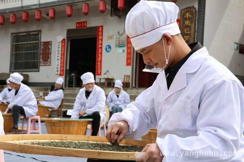 紫阳开园仪式，开启富硒茶乡特色之旅 探秘紫阳：开园活动邂逅千年茶文化