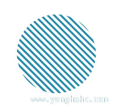 “时光寄语，法护青春”活动：开启法治教育新征程，法护青春：大学生与初三学子的双向成长之旅