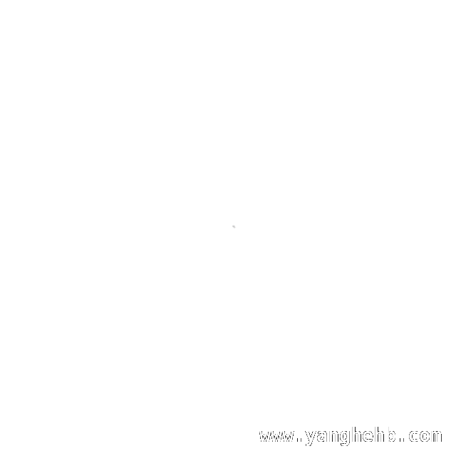 “时光寄语，法护青春”活动：开启法治教育新征程，法护青春：大学生与初三学子的双向成长之旅