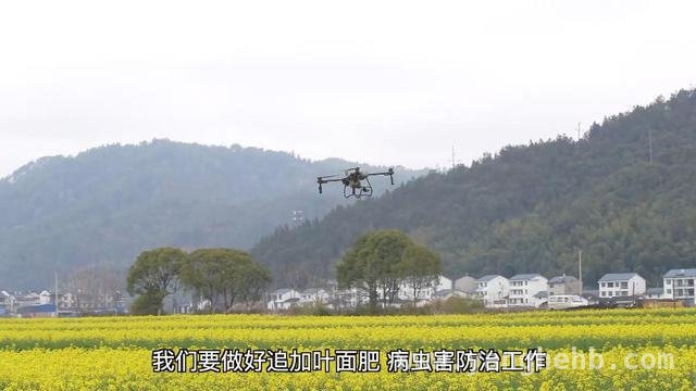 聚焦福建春耕：多管齐下保障农业生产新突破，福建春耕新景象：科技与模式助力农业焕发生机