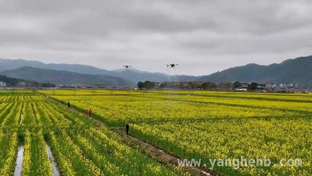 聚焦福建春耕：多管齐下保障农业生产新突破，福建春耕新景象：科技与模式助力农业焕发生机