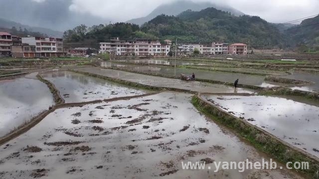 聚焦福建春耕：多管齐下保障农业生产新突破，福建春耕新景象：科技与模式助力农业焕发生机