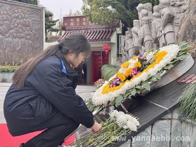 铭记历史：上海永福园清明祭志愿军英烈，创新红色教育形式