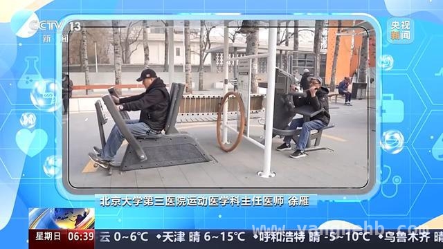 老年人运动：避开陷阱，健康前行，老年运动指南：科学健身，远离风险