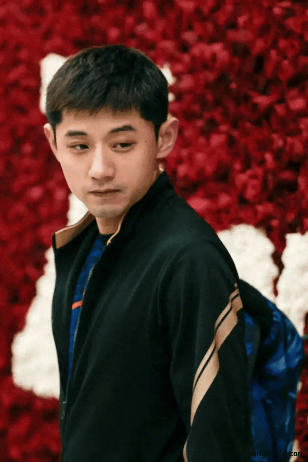 张继科欲借黑龙江男队复出冲击2029全运会，41岁他能否再创辉煌？，张继科欲重返全运赛场，年满41岁的他还有多少胜算？