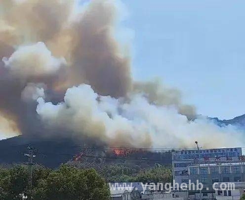 清明祭祀引山火频发，文明祭扫刻不容缓
