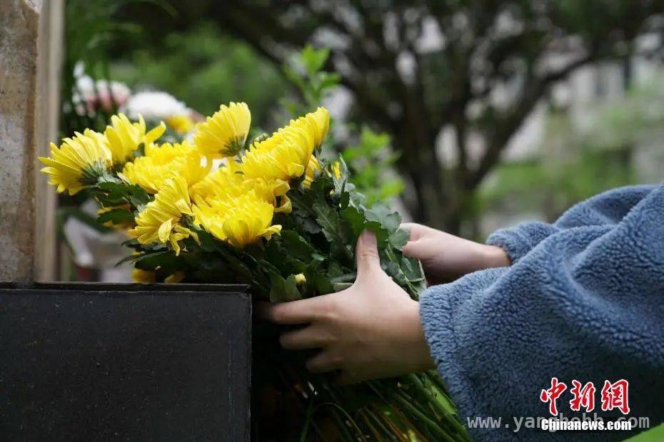 清明祭祀引山火频发，文明祭扫刻不容缓