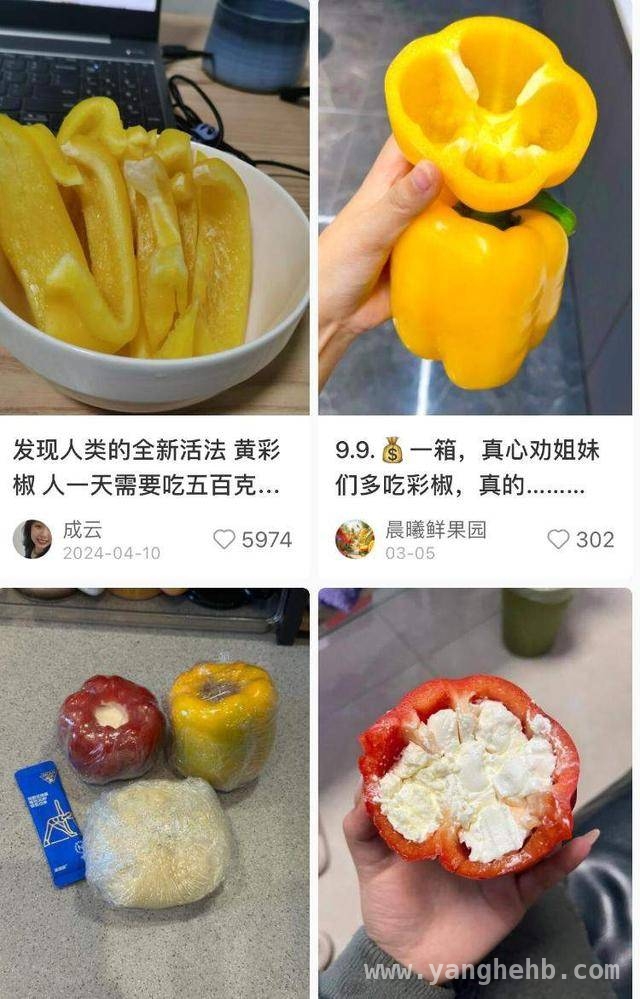 从无人问津到人手一杯，羽衣甘蓝的逆袭背后
