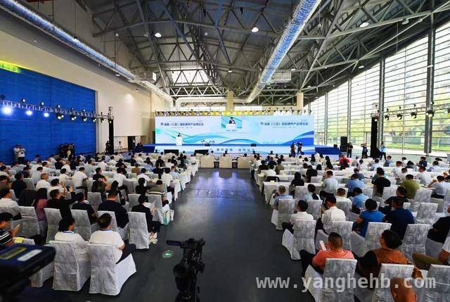 康养盛宴在三亚上演，引领行业高质量发展新潮流