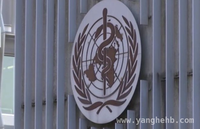 世卫组织预算缩减危机，美国“甩锅”引全球担忧