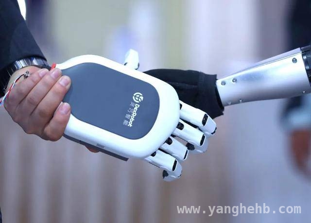 走进2025，探寻具身智能带来的无限可能