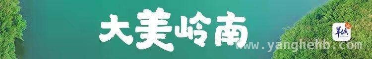 陂头：峰林奇景与古寺风情的梦幻之地