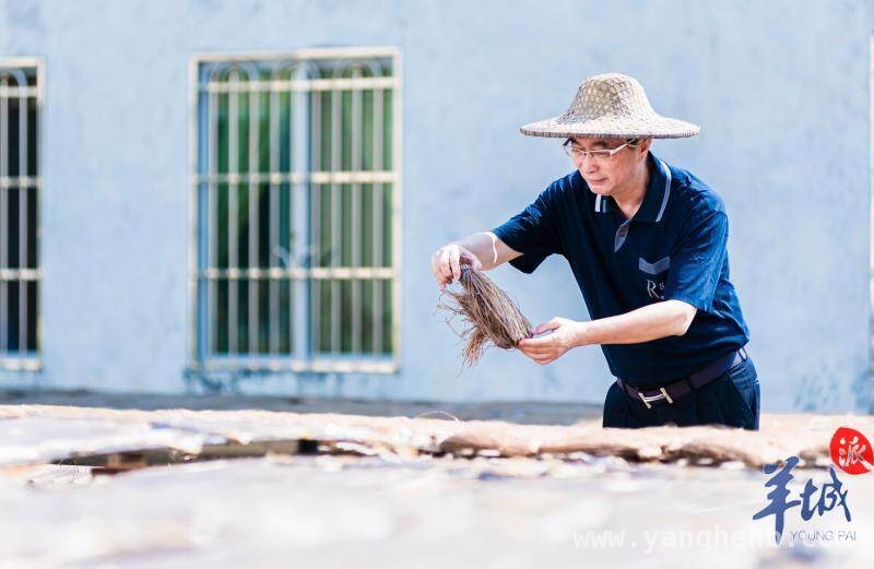 陂头：峰林奇景与古寺风情的梦幻之地