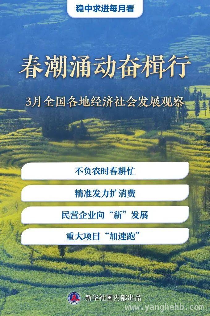 春潮澎湃，3月各地经济社会发展活力尽显 春日经济画卷：各地发展活力绽放