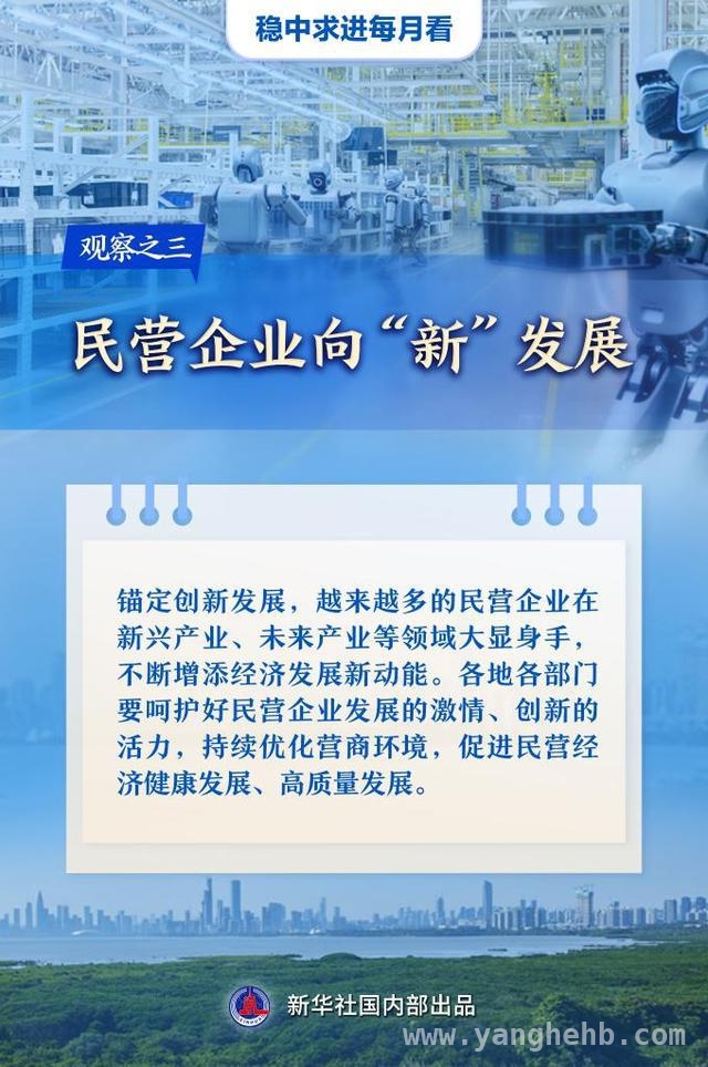 3月经济图景：春耕、消费、民企与项目共绘发展新篇，3月经济脉动：春耕忙、消费旺、民企新、项目快