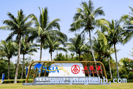 博鳌盛会，五粮液用“和美”奏响全球共鸣乐章