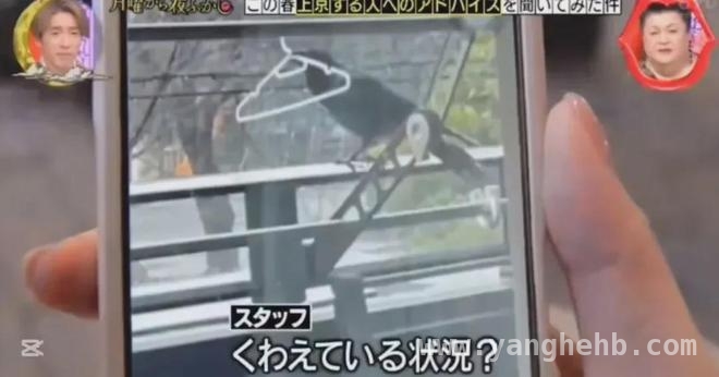 日本综艺恶意剪辑触碰底线，观众不满事件不断升级，月曜夜未央恶意剪辑惹大祸，信任危机来袭