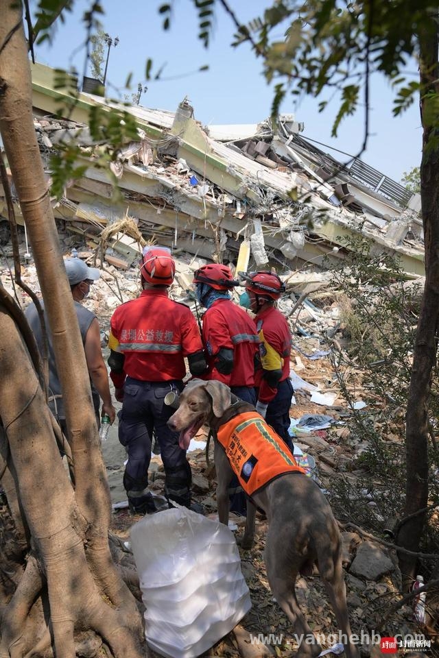 7.9级地震袭击缅甸曼德勒，中方救援力量火速驰援 30日直击：缅甸曼德勒震后救援与生活的交织