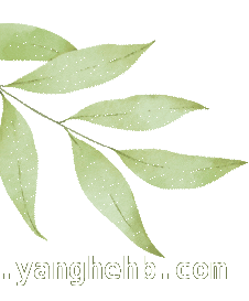 4月文昌清澜，千年医脉下的中医集市养生局，春日养生盛宴！海南文昌南洋文化节中医集市等你来