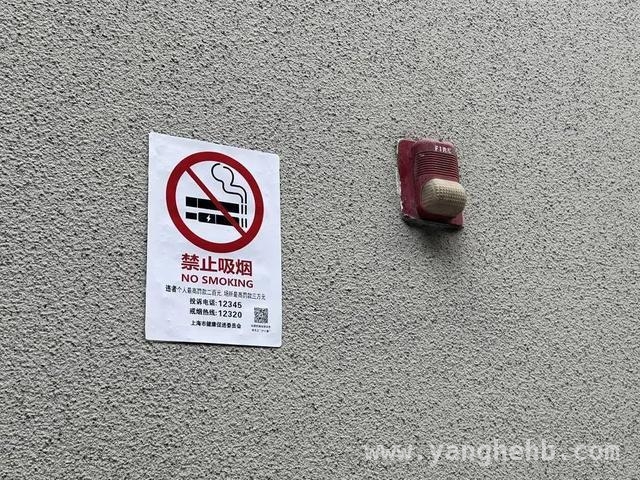 聚焦上海“游烟”治理：专家解读与国内外经验