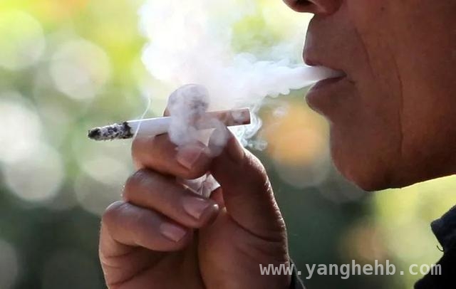 聚焦上海“游烟”治理：专家解读与国内外经验