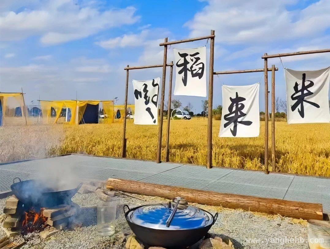 西塘古镇开启野米饭接力赛，简单食材碰撞出诱人美味 春到西塘，“寻觅最香野米饭”接力赛拉开精彩帷幕