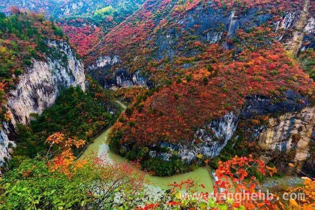 青岛 - 陇南航线复航，开启东西协作新篇章