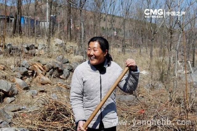 “沂蒙二姐”吕玉霞：田间地头里的诗意人生，吕玉霞：黄土地上的“诗与远方”