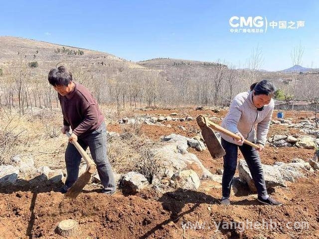 “沂蒙二姐”吕玉霞：田间地头里的诗意人生，吕玉霞：黄土地上的“诗与远方”