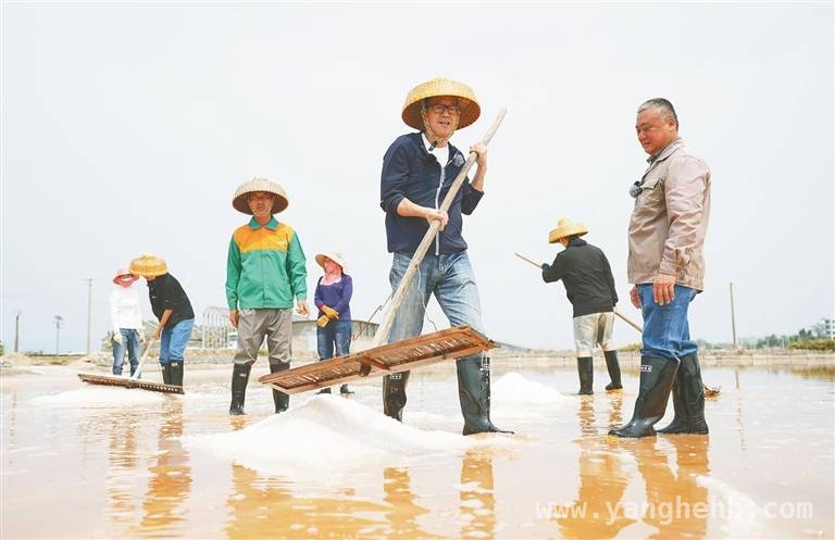俞敏洪14天环岛游，解锁海南文旅新玩法，俞敏洪带火海南文旅，这场直播留下了什么？