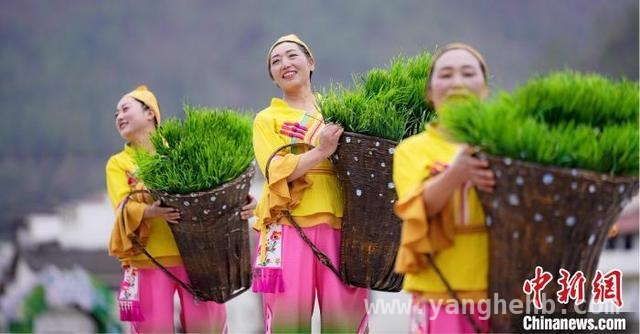 陕南深山现绝美演艺，开启乡村文旅新传奇！
