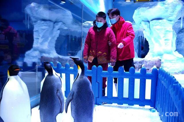海洋相伴，温暖同行：郑州海昌海洋公园公益活动精彩纷呈，2025郑州海昌海洋公园公益月：与星星孩子共赴海洋之约
