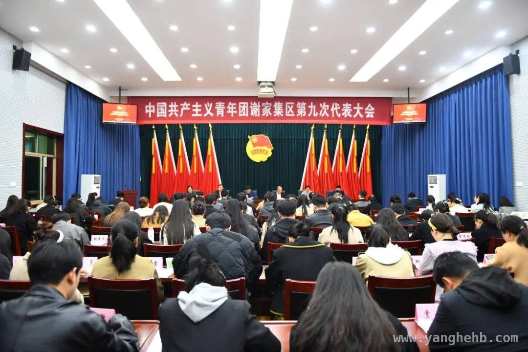 谢家集区共青团九大：青年奋进新时代的新起点，青春盛会！谢家集区共青团九大闪耀启幕