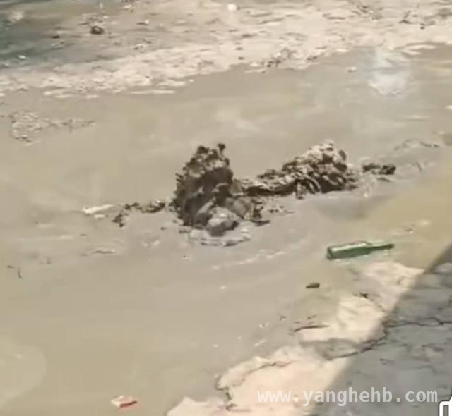 聚焦缅甸地震：实皆断裂带和砂土液化现象解析