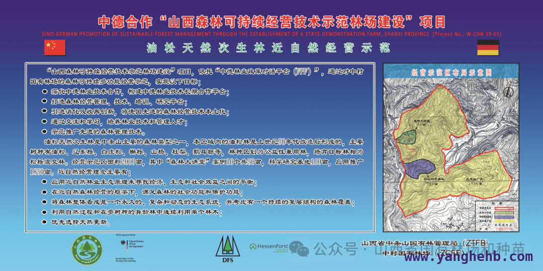 聚焦山西中村林场：良种先行，为生态安全添砖加瓦 山西中村林场：从“扩绿”到示范，引领林业新征程