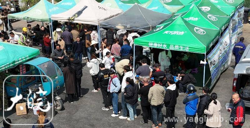 盒饭姐摊位引流量商机，善良之心获众人喜爱，合肥盒饭姐怒怼浪费行为，各地粉丝驱车赶来捧场