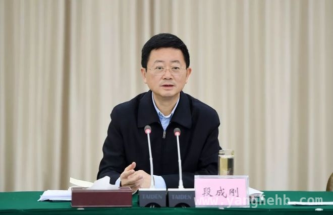 重庆官场再掀波澜：段成刚、王愚接连被查，重庆政协副主席段成刚“落马”，背后隐情几何？