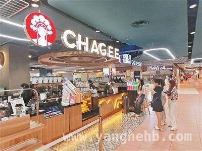 中国产品闪耀全球：从国风服饰到电动汽车的海外征程，中国文化与科技结晶：在海外市场绽放光芒