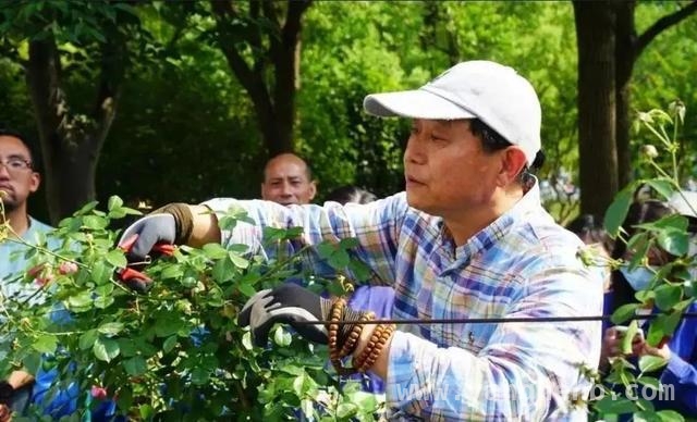 法治春风吹，黄浦古树名木开启全周期“生命呵护”，古树名木焕新颜，黄浦奏响绿色保护新乐章
