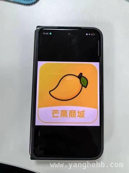警惕“租机贷”骗局，上海案例敲响警钟，上海“租机贷”案：斩断非法放贷利益链条迫在眉睫
