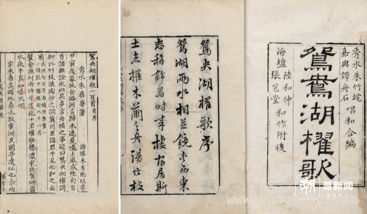 浙江特派员助力，净相村槜李文化焕新篇，“槜李文化+”征集计划启动，净相村邀全国共续千年文脉