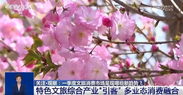 一季度文旅：演出、电影与特色产业共绘消费蓝图，2025 一季度：文旅消费市场新趋势大揭秘