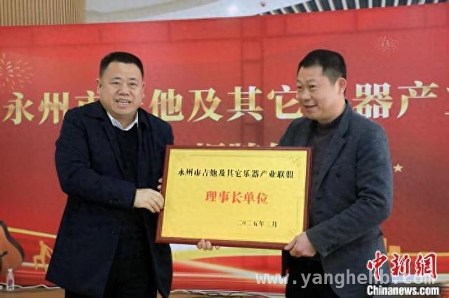 产业联盟助力，东安吉他产业奏响发展新乐章