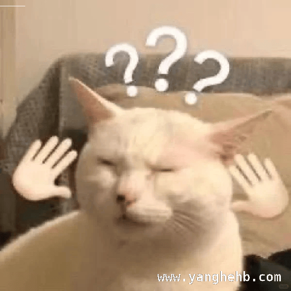 活鳄鱼、雪碧等稀罕物拍卖，司法拍卖走向何方？ 惊！司法拍卖现活鳄鱼，还有这些稀罕物！