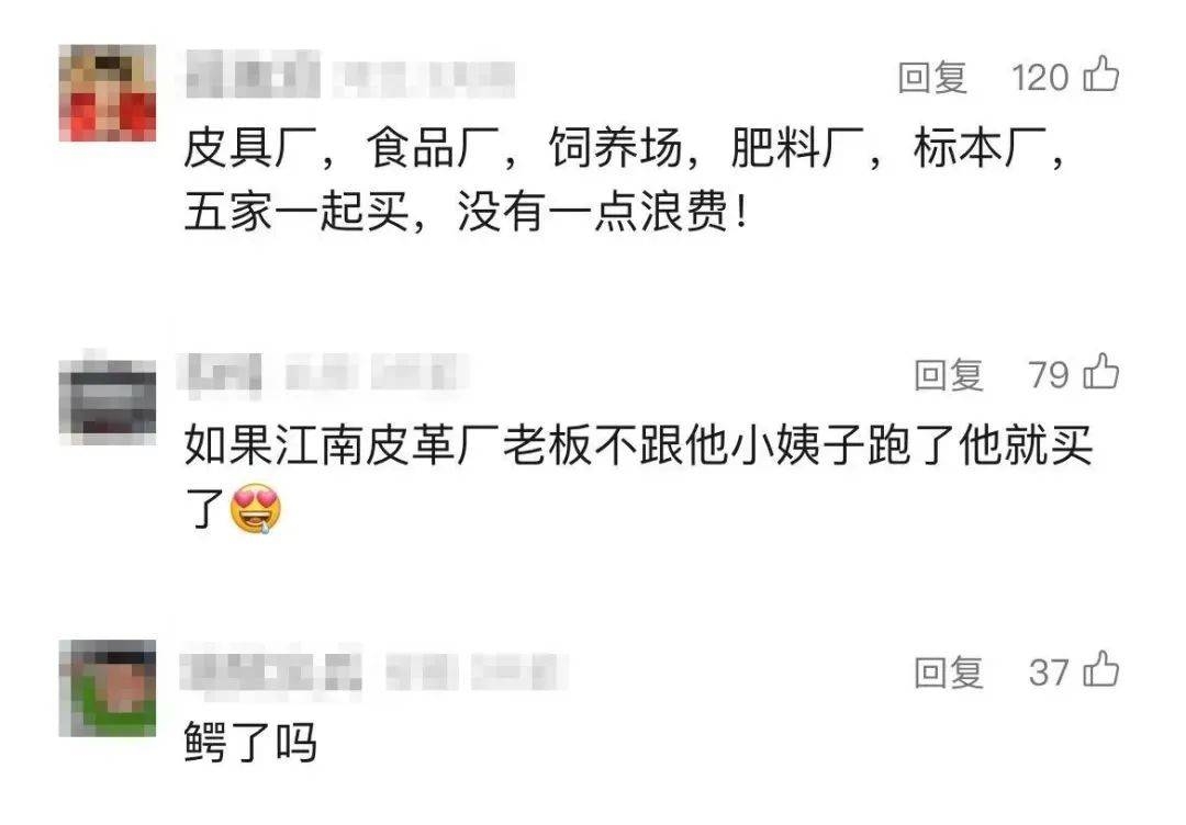 活鳄鱼、雪碧等稀罕物拍卖，司法拍卖走向何方？ 惊！司法拍卖现活鳄鱼，还有这些稀罕物！