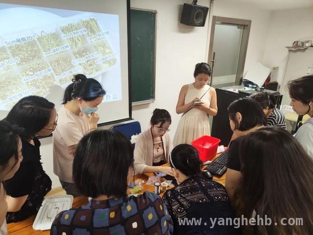 生育友好岗、海鸥计划……闵行活动为女性职场铺就星光大道